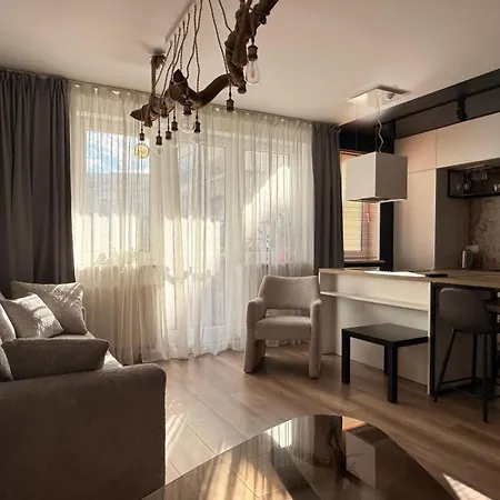 Katowicka 23 * بوزنان