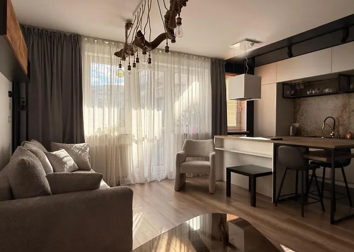 Katowicka 23 * بوزنان